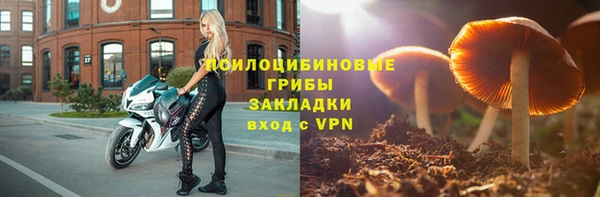 круглые Лагань