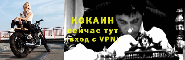 амф Богданович