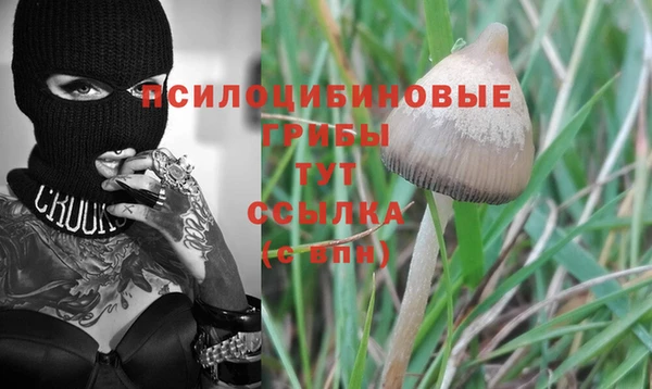 соль ск Богородицк