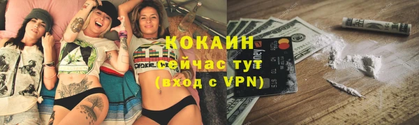 амф Богданович