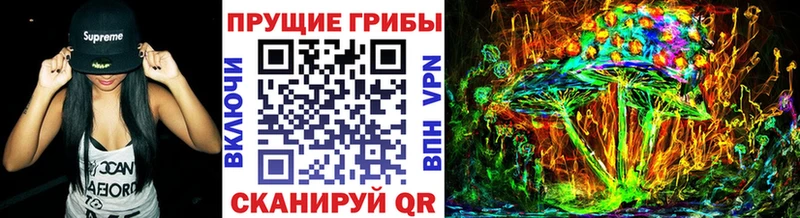 ссылка на мегу ссылка  как найти закладки  Кирс  Галлюциногенные грибы мицелий 